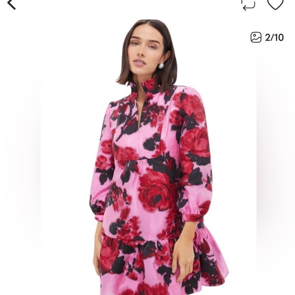 Tuckernuck Dresses & Skirts - Tuckernuck Pink and Red Floral Long Sleeve Dress